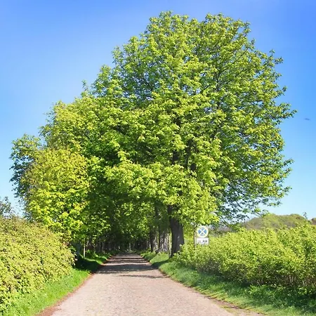 Διαμέρισμα F-1016 Haus Maigloeckchen Doppelzimmer 01 Mit Fruehstueck