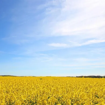 F-1016 Haus Maigloeckchen Doppelzimmer 01 Mit Fruehstueck Διαμέρισμα